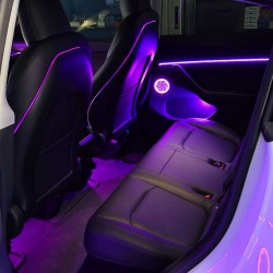 Ambient Light Tesla Model Y