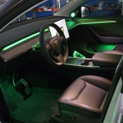 Ambient Light Tesla Model Y