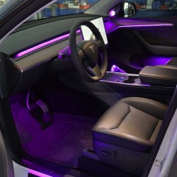 Ambient Light Tesla Model Y